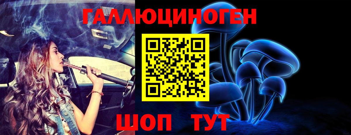 Псилоцибиновые грибы Psilocybe Чайковский
